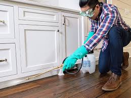 Real Estate Pest Inspections in Clearwater, MN